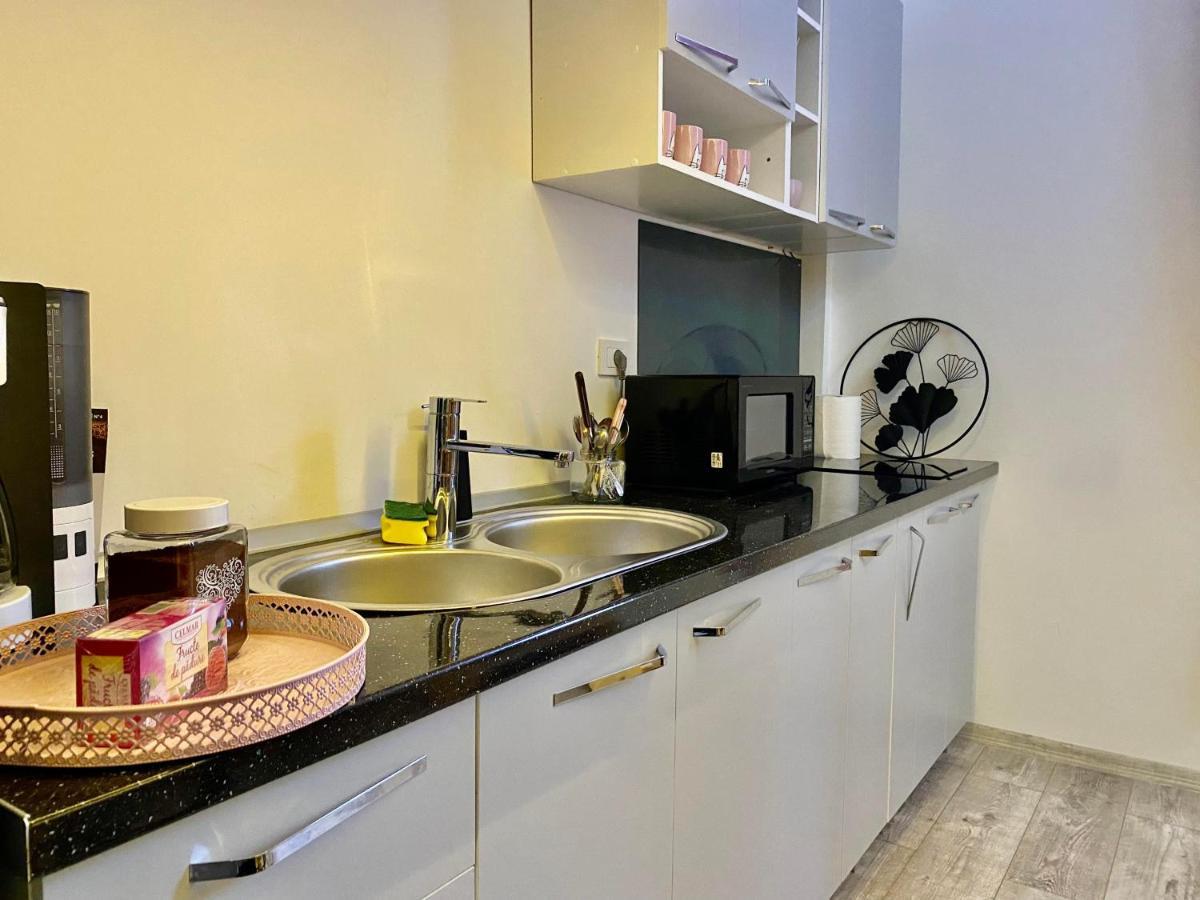 The Central Apartament Apartment คลูจ-นาโปกา ภายนอก รูปภาพ
