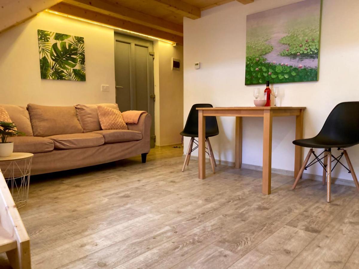 The Central Apartament Apartment คลูจ-นาโปกา ภายนอก รูปภาพ